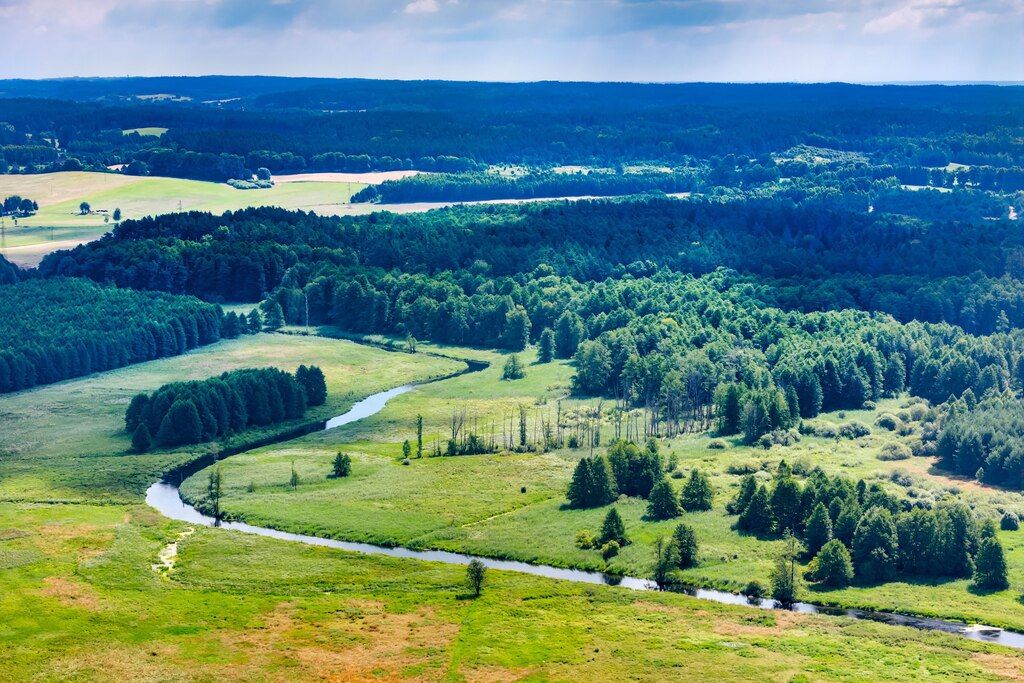 Działka rekreacyjna Mostkowo. Zdjęcie 10