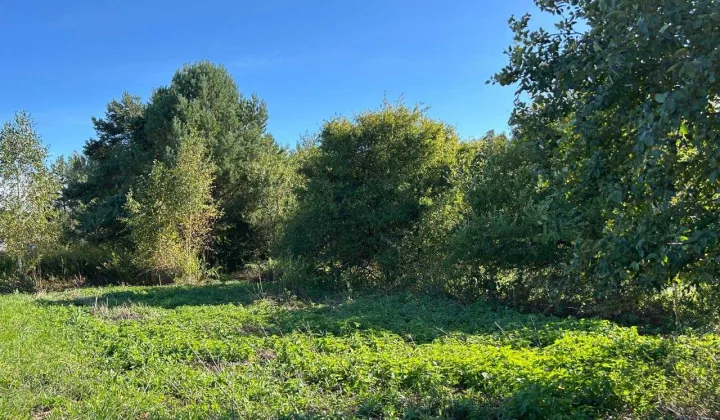 Działka budowlana Zasutowo, ul. Letnia