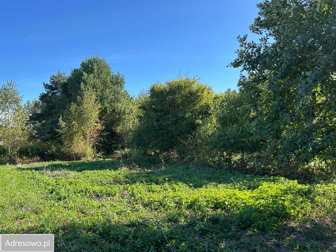 Działka budowlana Zasutowo, ul. Letnia