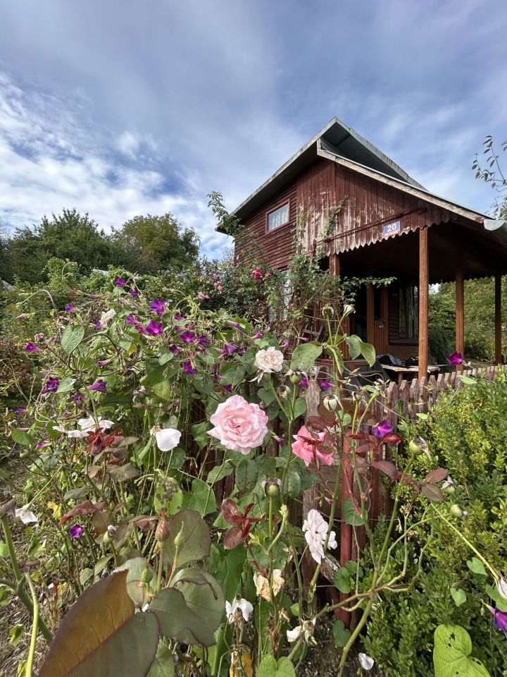 Działka rod Przemyśl Zasanie, ul. Biskupa Jakuba Glazera. Zdjęcie 12