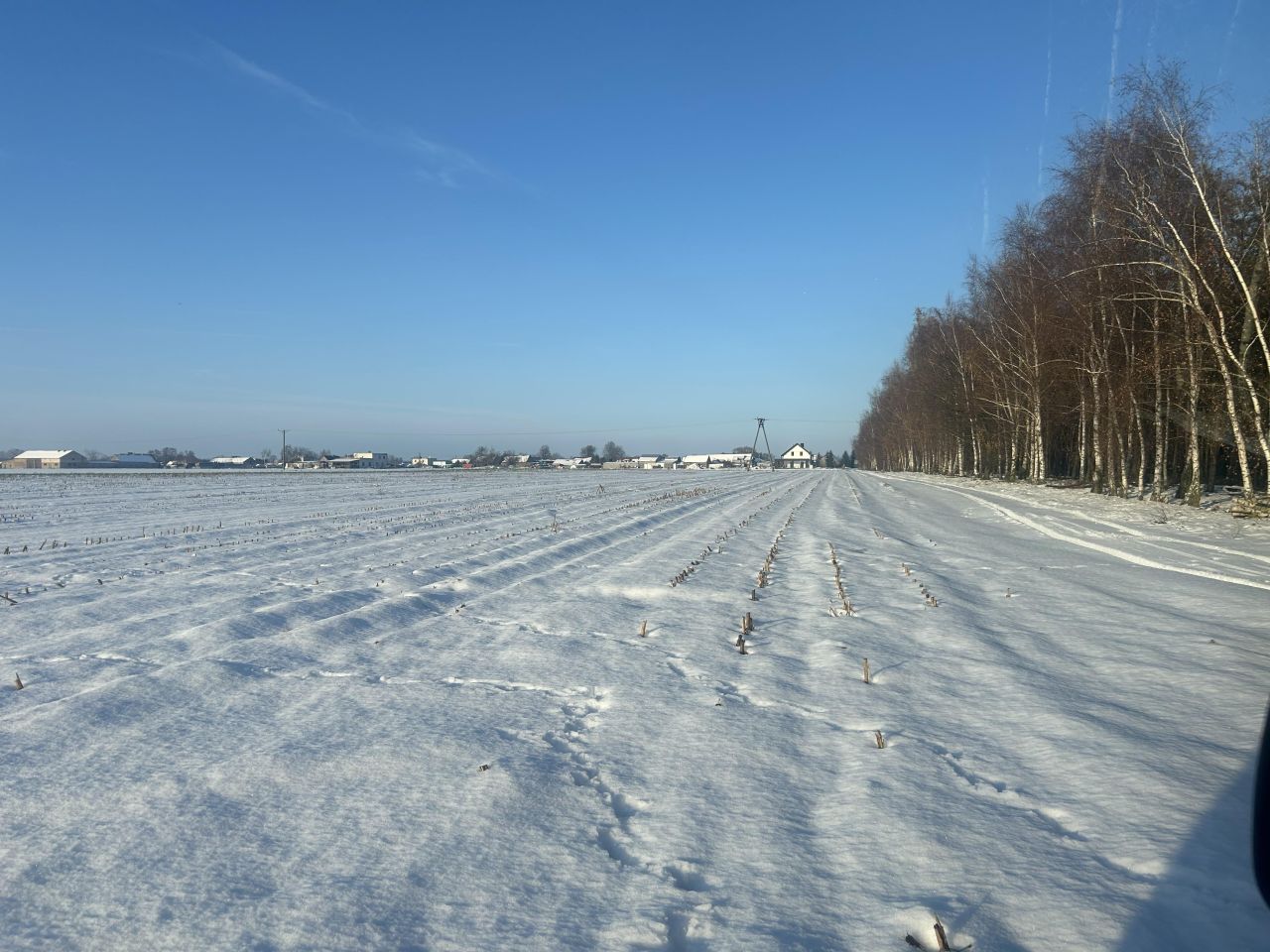 Działka budowlana Ruchocinek. Zdjęcie 2