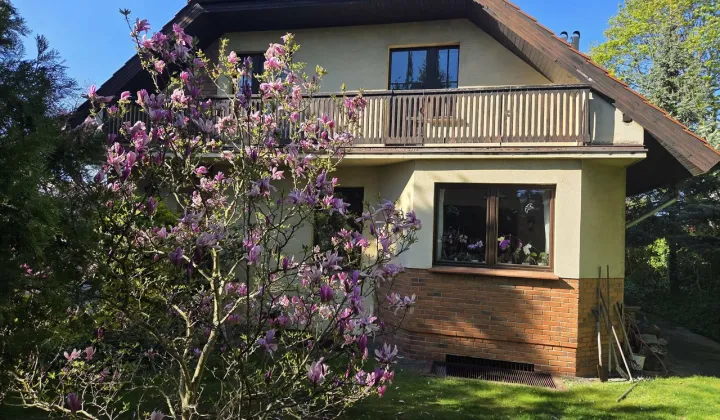 dom wolnostojący, 9 pokoi Ostrów Wielkopolski Centrum, ul. Tuwima