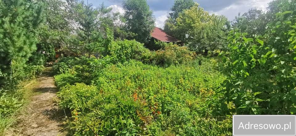 Działka rod Koszalin. Zdjęcie 6