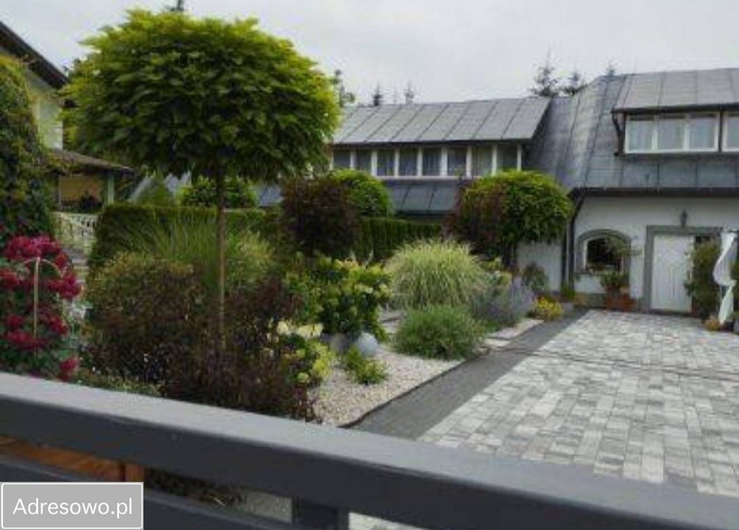 Lokal Ostrów. Zdjęcie 15