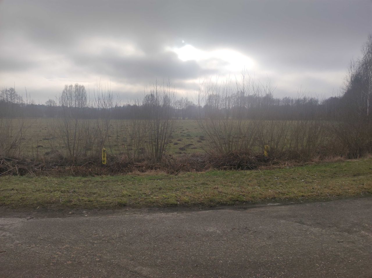 Działka rolna Wola Kanigowska. Zdjęcie 5