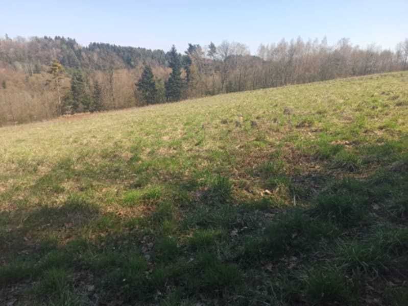 Działka rolna Binarowa. Zdjęcie 5