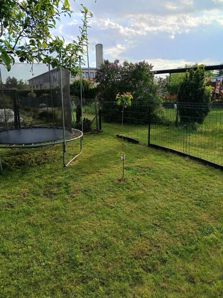 Działka rod Tarnobrzeg Wymysłów, ul. Modrzewiowa. Zdjęcie 6