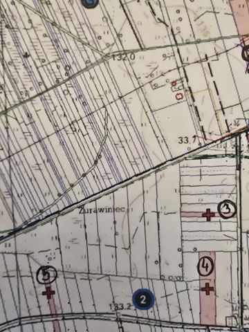 Działka rolna Przespolew Kościelny Huta. Zdjęcie 1