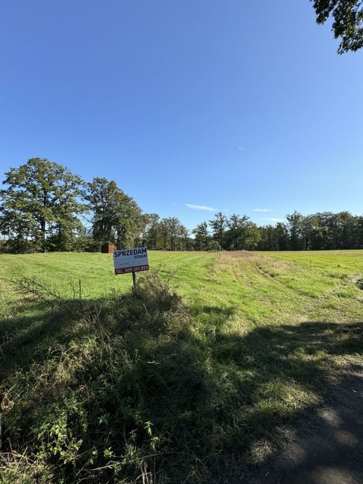 Działka budowlana Szprotawa. Zdjęcie 5