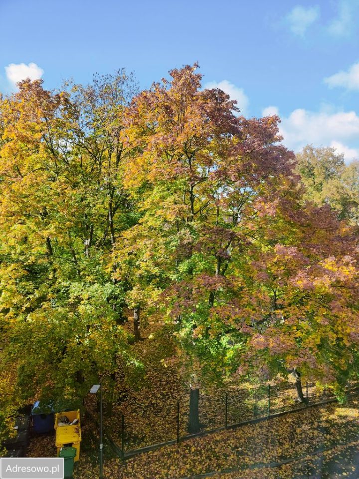 Mieszkanie 3-pokojowe Wrocław Ołbin, pl. Grunwaldzki. Zdjęcie 4