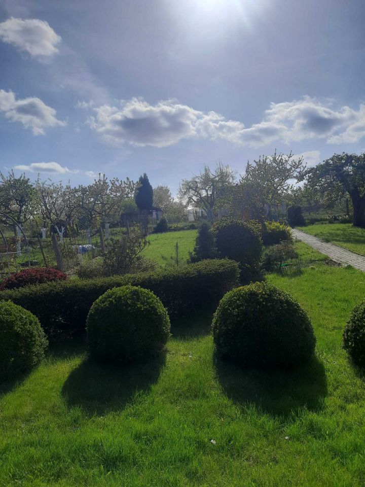 Działka rod Szczecin Golęcino, ul. Bogumińska. Zdjęcie 5