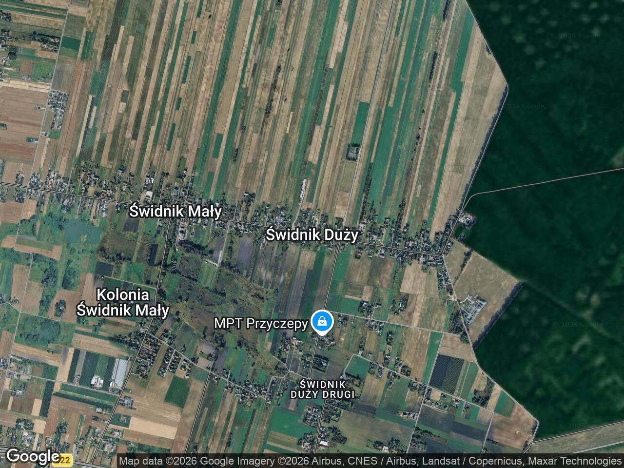 Działka leśna Świdnik Duży. Zdjęcie 1