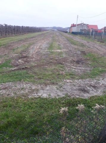 Działka rolna Staniszewice. Zdjęcie 1