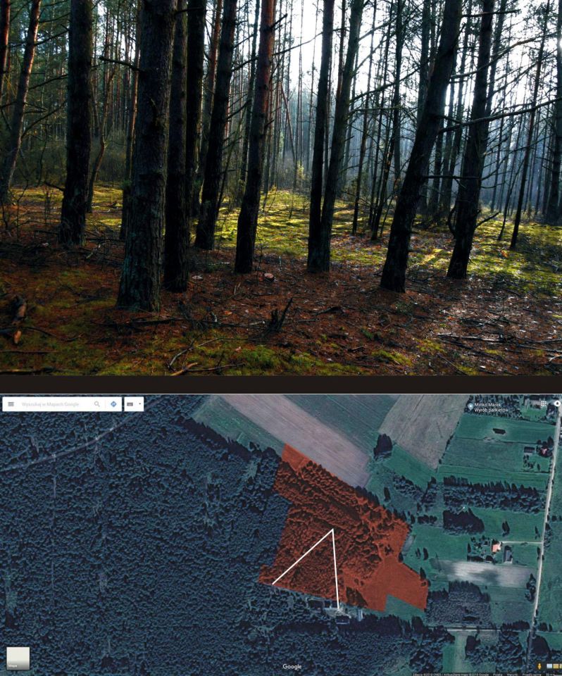 Działka budowlana Turna Duża. Zdjęcie 30