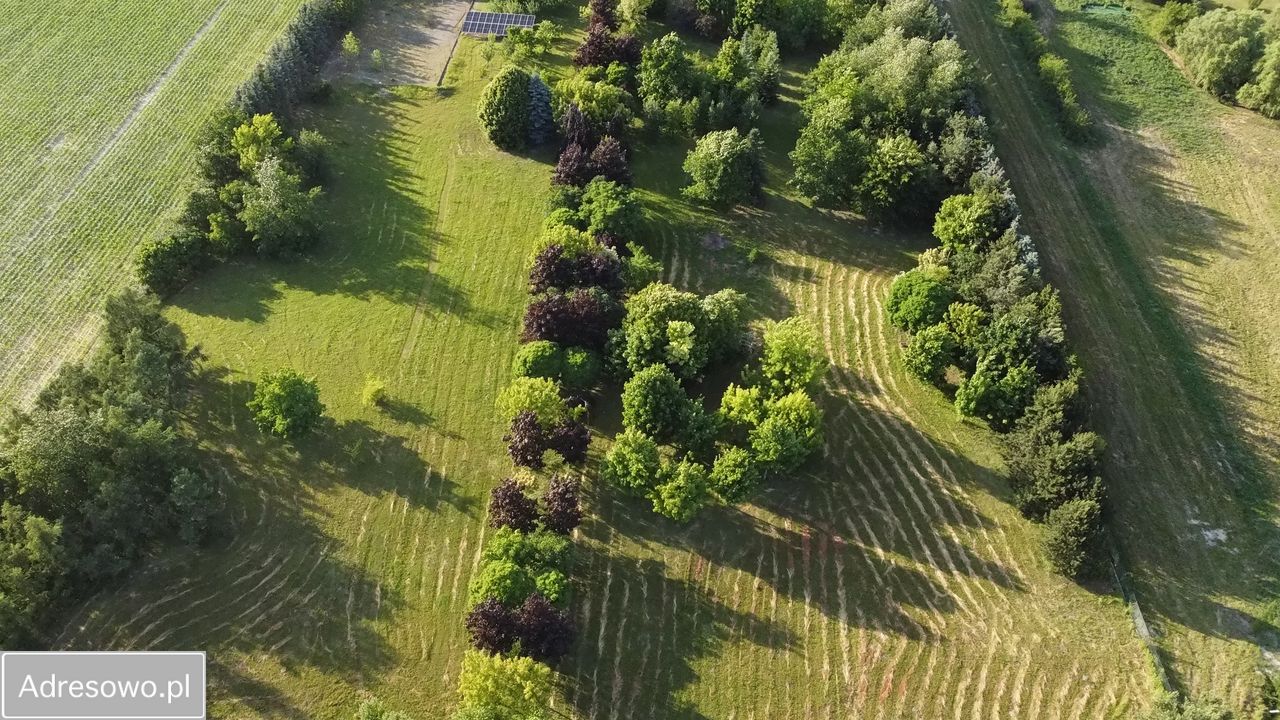 Działka budowlana Gniezno Piekary, ul. Żytnia. Zdjęcie 4