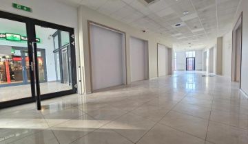 Lokal Wolsztyn, ul. dr. Kocha