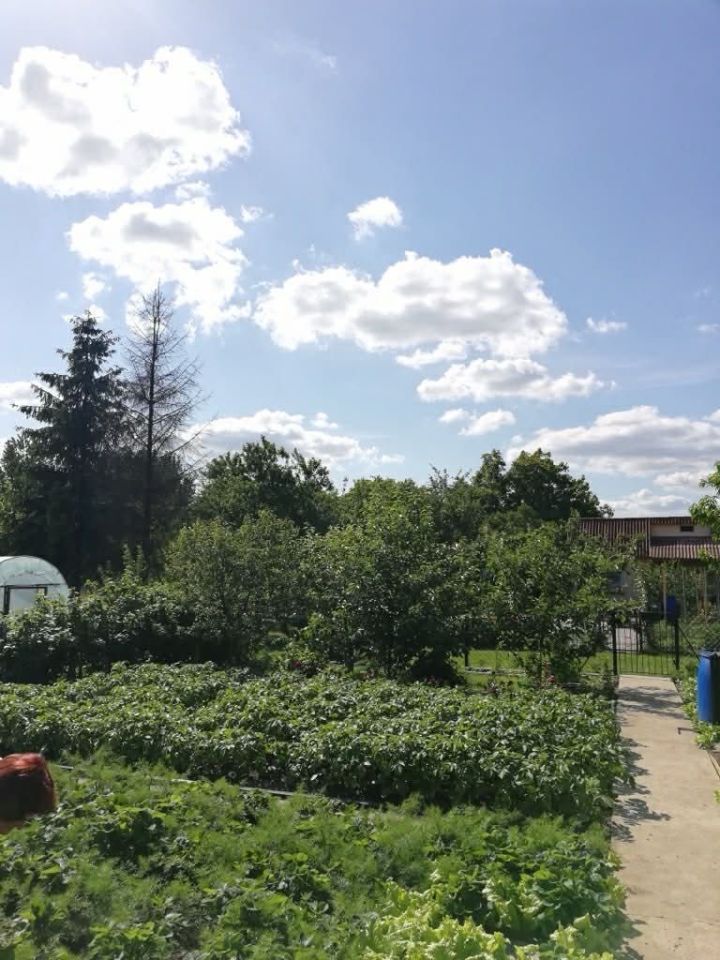 Działka rod Ostrzeszów, ul. Ceglarska. Zdjęcie 6