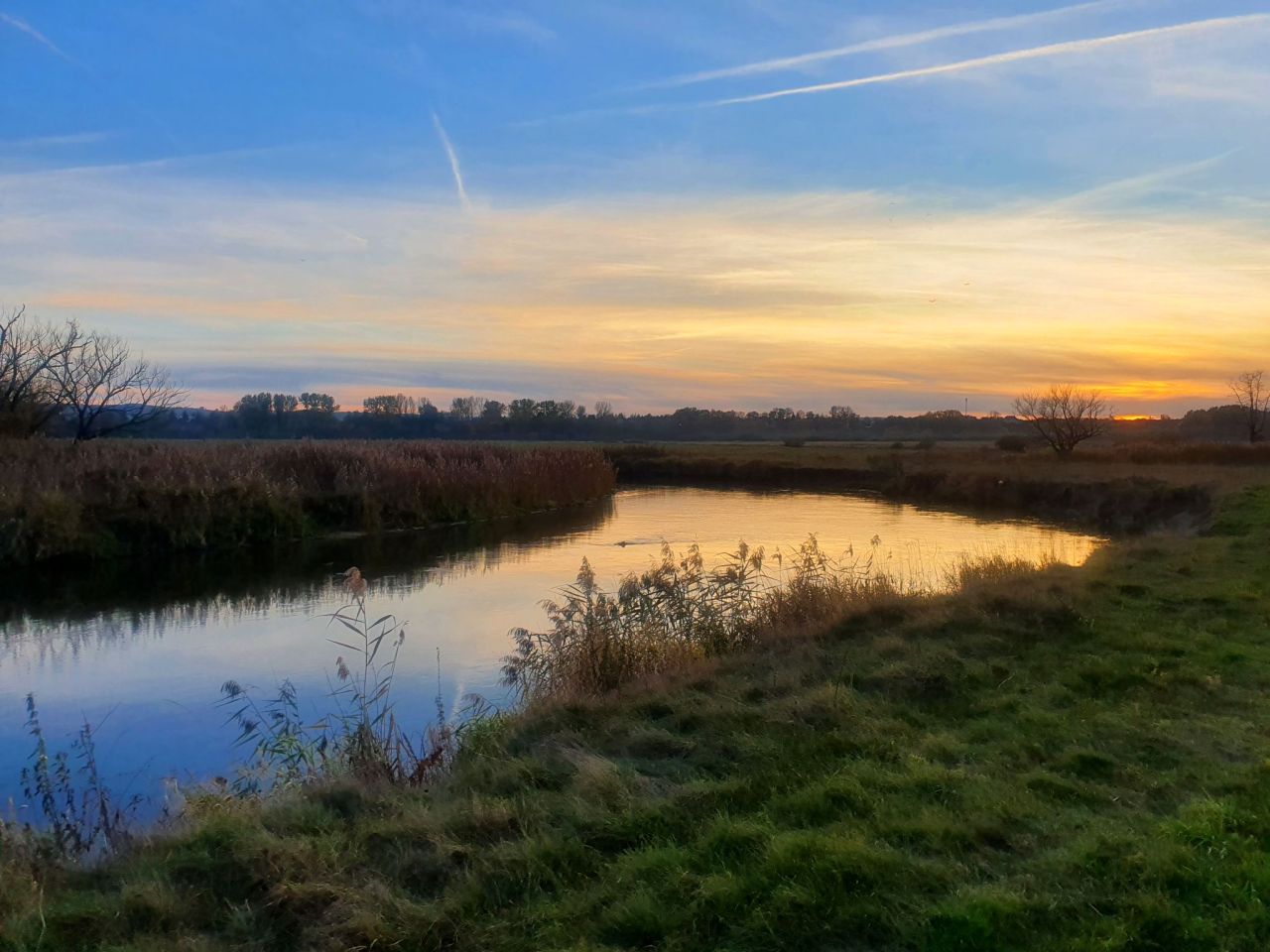 Działka budowlana Wojsławice. Zdjęcie 9