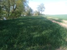 Działka siedliskowa Stobno. Zdjęcie 2