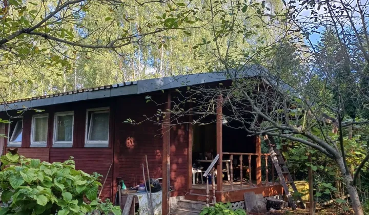 Działka rod Międzyborów