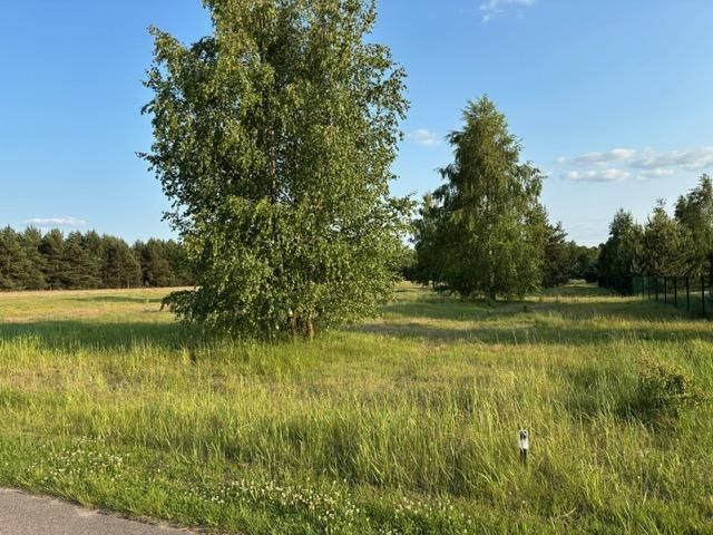 Działka rekreacyjna Krasice. Zdjęcie 3