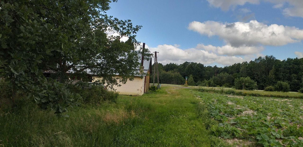 Działka siedliskowa Zahajki-Kolonia. Zdjęcie 5