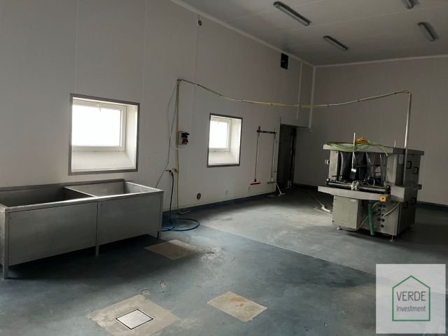 Hala/magazyn Biernatki, al. Flensa. Zdjęcie 9