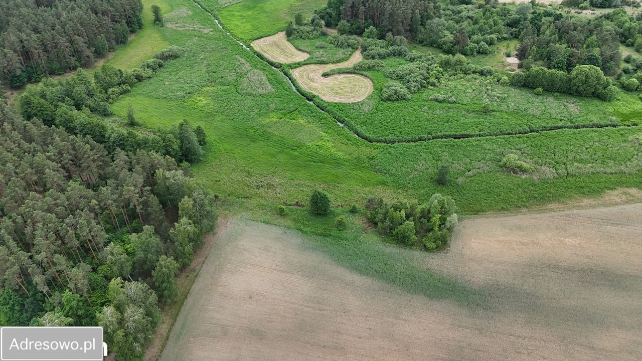 Działka rolna Gorczeniczka. Zdjęcie 10
