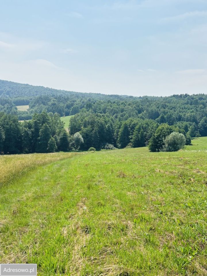 Działka siedliskowa Lipnica Dolna. Zdjęcie 4