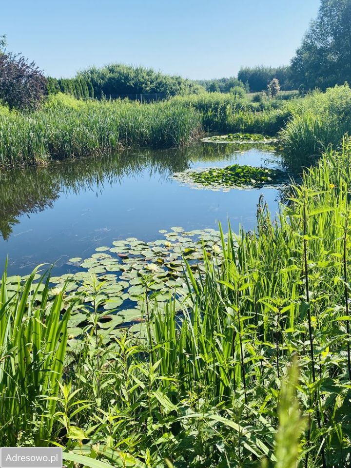 dom wolnostojący, 3 pokoje Brzozówka. Zdjęcie 15