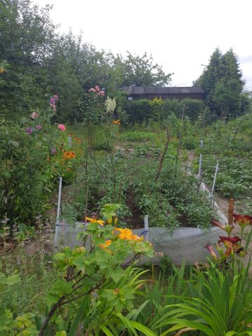 Działka rod Radom Potkanów, ul. Żelazna. Zdjęcie 1