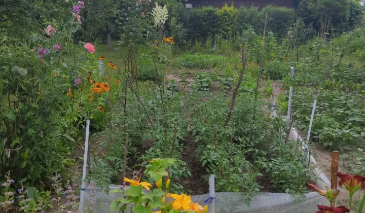 Działka rod Radom Potkanów, ul. Żelazna