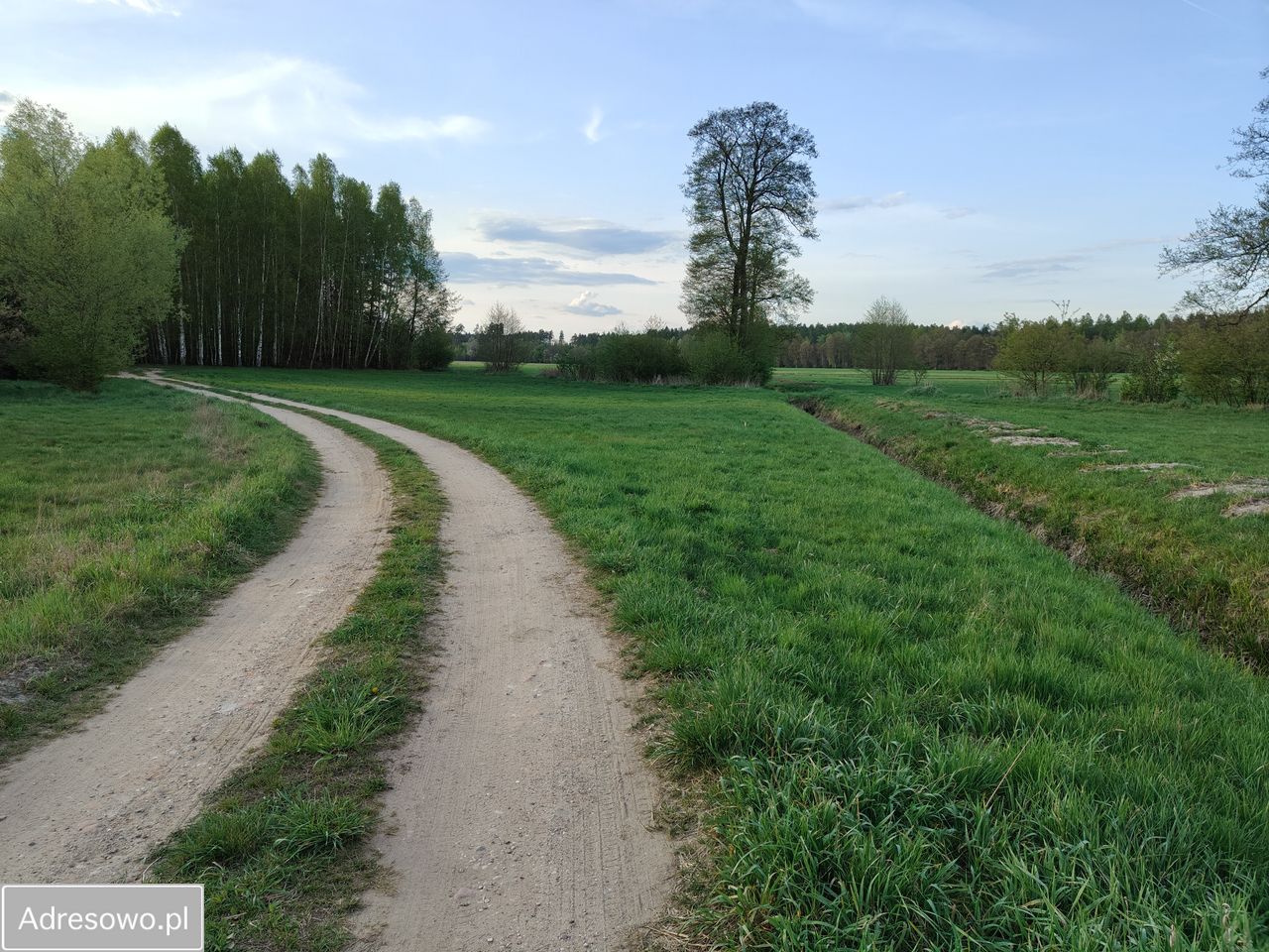 Działka rolno-budowlana Nagoszewka Pierwsza. Zdjęcie 10