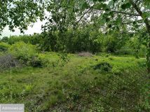 Działka budowlana Mieszkowo, ul. Szklarniowa. Zdjęcie 2