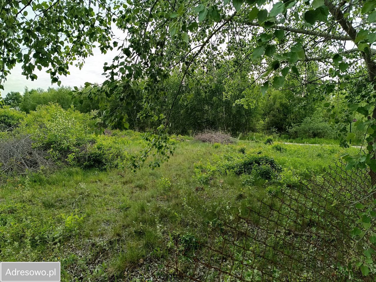 Działka budowlana Mieszkowo, ul. Szklarniowa. Zdjęcie 3