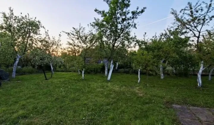Działka rod Oleśnica Lucień, ul. Henryka Dąbrowskiego