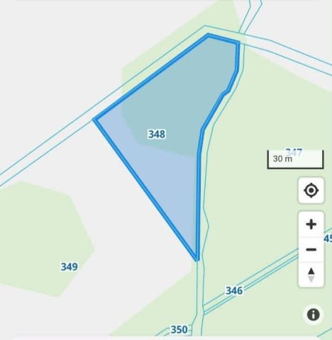 Działka leśna Nowe Grodziczno. Zdjęcie 1
