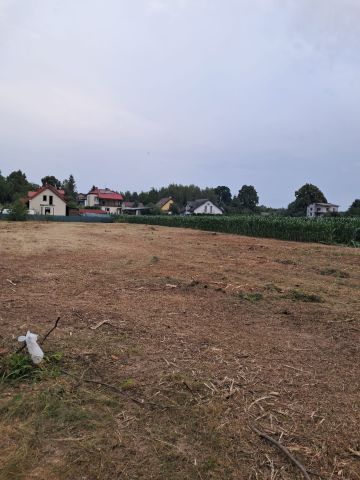 Działka budowlana Prawiedniki-Kolonia. Zdjęcie 1