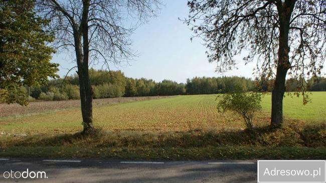 Działka siedliskowa Strzegocin. Zdjęcie 4