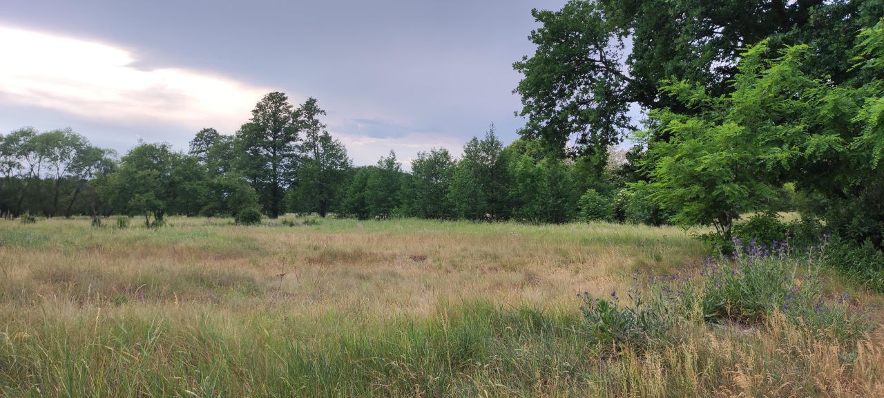 Działka rolno-budowlana Cisie, ul. Jesienna. Zdjęcie 19