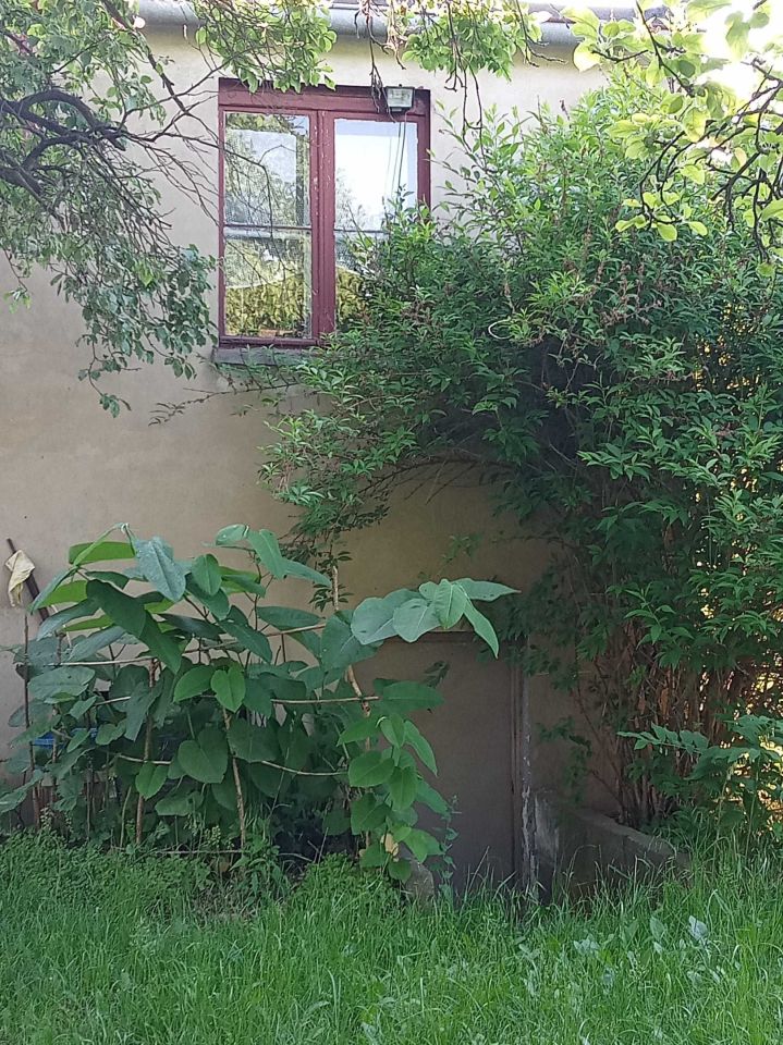 Działka budowlana Rawicz, ul. ks. Piotra Wawrzyniaka. Zdjęcie 8