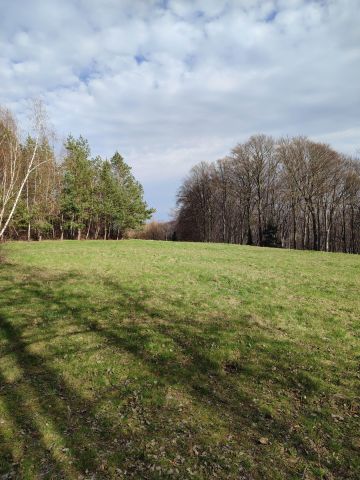 Działka budowlana Glichów Zarzecze. Zdjęcie 1