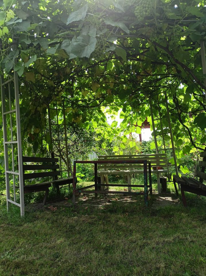 Działka rod Zielona Góra. Zdjęcie 8