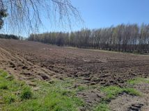 Działka budowlana Samin. Zdjęcie 4