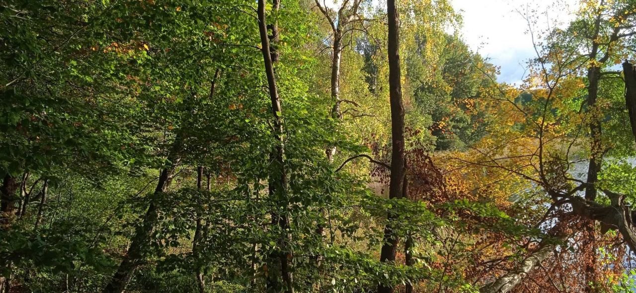 Działka budowlana Cybulin. Zdjęcie 8