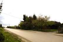 gospodarstwo Obrazów. Zdjęcie 1