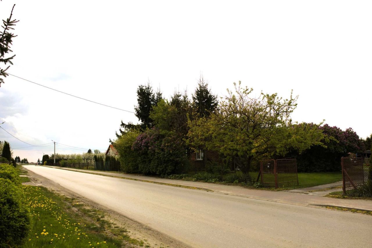 gospodarstwo Obrazów. Zdjęcie 2