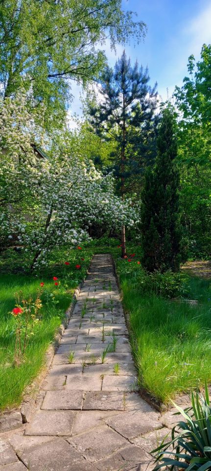 dom wolnostojący, 5 pokoi Otwock Świder, ul. Pogodna. Zdjęcie 26