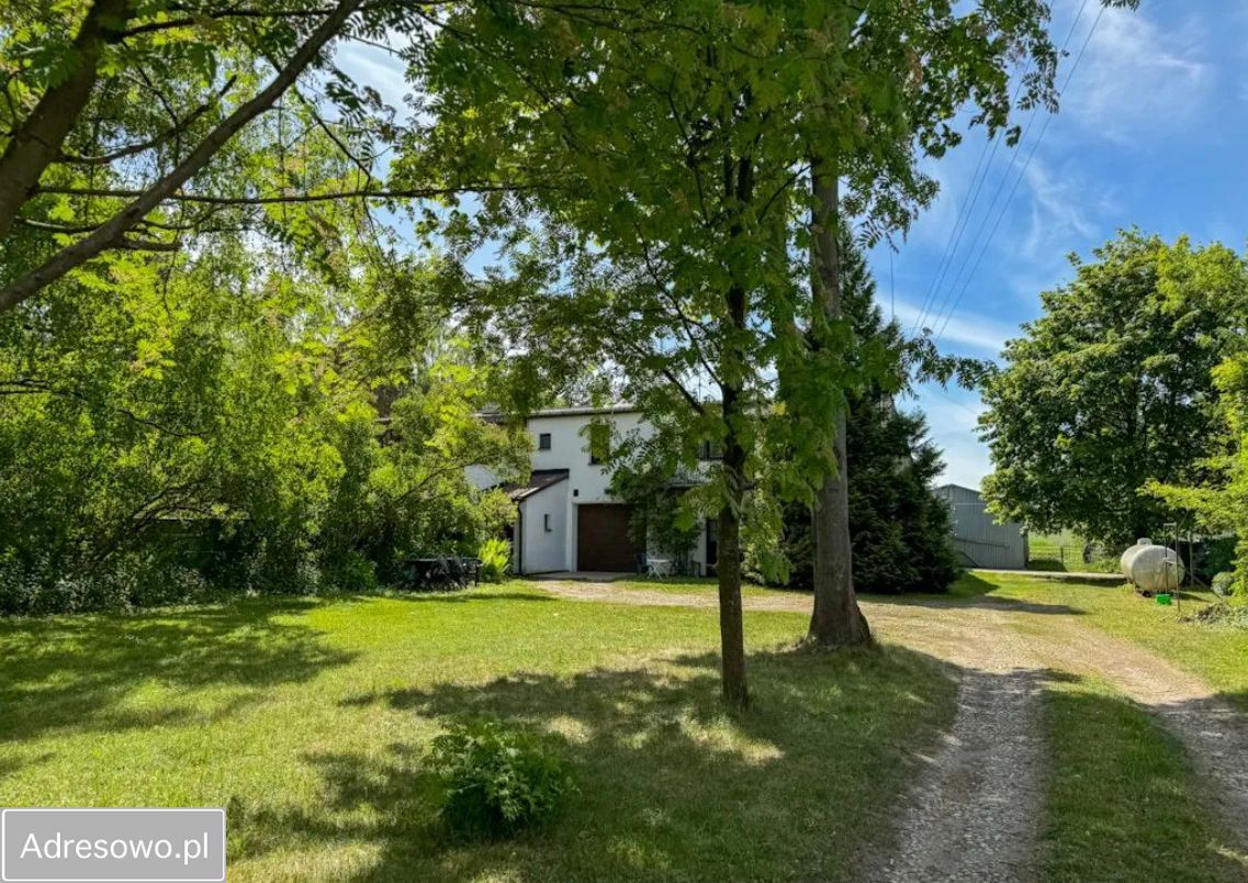 Hala/magazyn Dąbrówka-Wyłazy. Zdjęcie 9