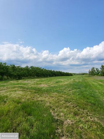 Działka rolna Stefanków. Zdjęcie 1